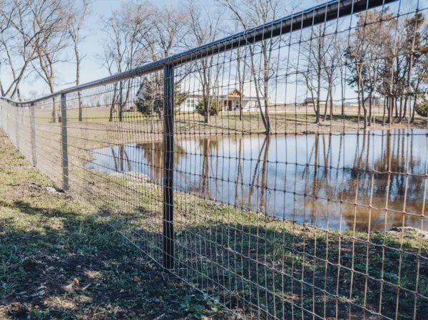 Small Pipe Fence